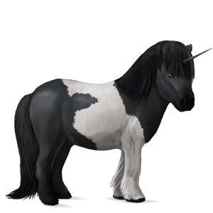 poney licorne shetland pie noir tobiano