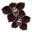 http://ouranos.equideow.com/media/equideo/image/produits/32/orchidee-noire.png?32678593