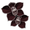 orchidee-noire.png?763359189