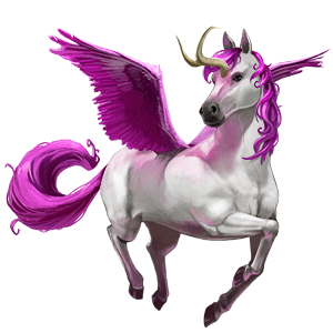 bellacorne?size=300&horse=60944060