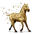 poney Élément terre