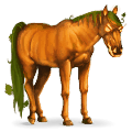 cheval de selle citrouille
