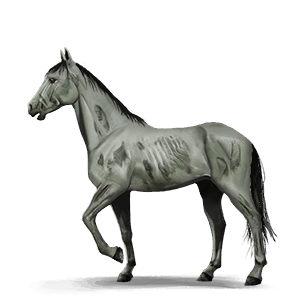 cheval de selle fames