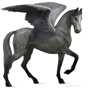 pégase de selle camargue gris pommelé