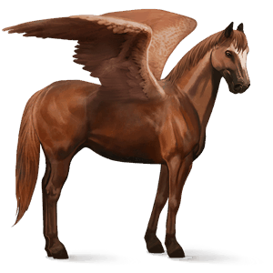 pégase de selle quarter horse alezan