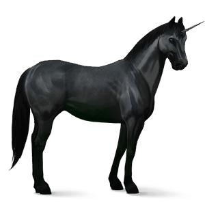 licorne de selle quarter horse noir