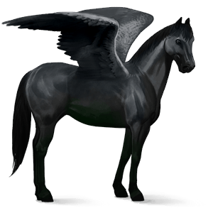 pégase de selle quarter horse noir