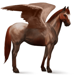pégase de selle quarter horse aubère