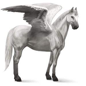 pégase de selle quarter horse gris clair
