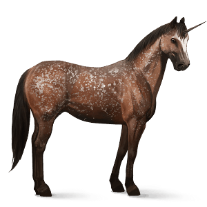 licorne de selle paint horse pie tobiano bai brûlé
