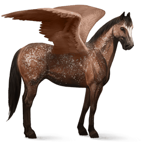 pégase de selle appaloosa snowflake bai