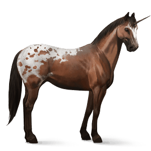 licorne de selle paint horse pie tobiano alezan brûlé