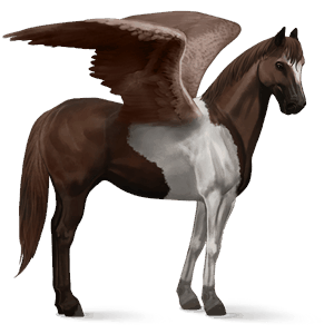 pégase de selle paint horse pie tobiano alezan brûlé
