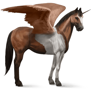 licorne de selle ailée pie tobiano bai