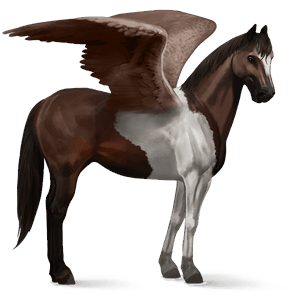 pégase de selle paint horse pie tobiano bai brûlé