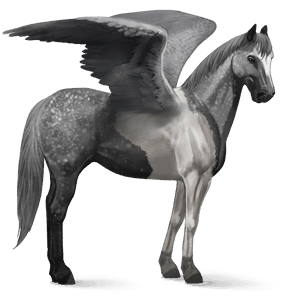 pégase de selle quarter horse alezan