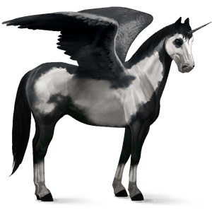 licorne de selle ailée paint horse pie overo noir