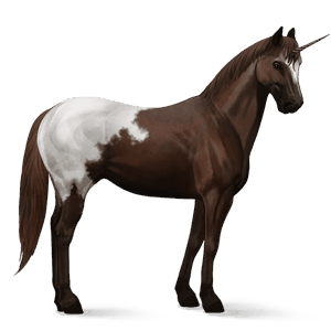 licorne de selle quarter horse aubère