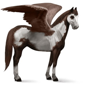 pégase de selle quarter horse alezan crins lavés