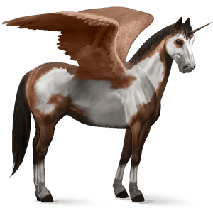 licorne de selle ailée paint horse pie overo bai