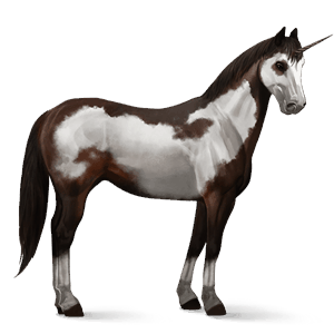 licorne de selle rouan