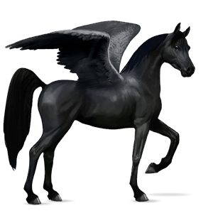 pégase de selle quarter horse alezan
