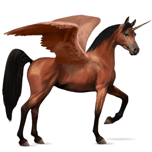 licorne de selle ailée bai cerise