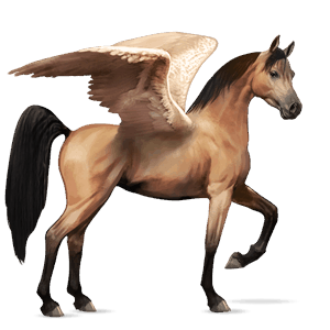 pégase de selle quarter horse alezan