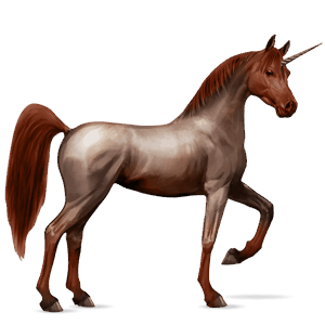 licorne de selle arabe de troie aubère