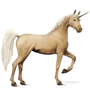 licorne de selle arabe de troie bai