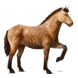 cheval de selle camargue gris clair