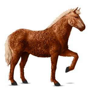 cheval de selle brumby alezan brûlé
