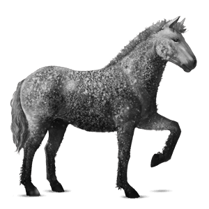 cheval de selle gris clair