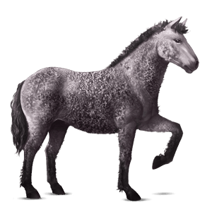cheval de selle arabe de troie gris truité