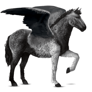 pégase de selle quarter horse gris pommelé