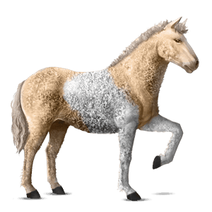cheval de selle alezan brûlé