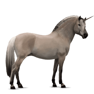 poney licorne poney de selle belge alezan brûlé