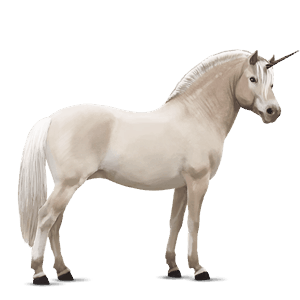 poney licorne quarter pony bai