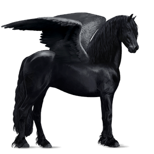 pégase de selle frison noir
