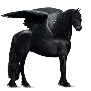 pégase de selle quarter horse noir