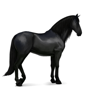 cheval de selle pure race espagnole noir