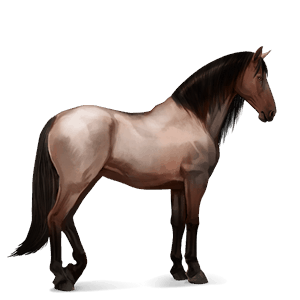 cheval de selle quarter horse rouan