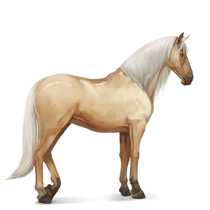 cheval de selle pure race espagnole palomino