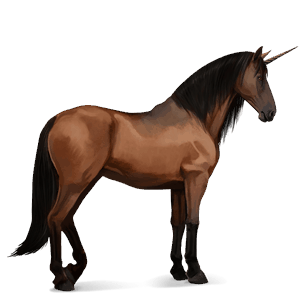 licorne de selle pure race espagnole bai