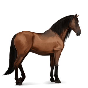 cheval de selle mangalarga marchador bai