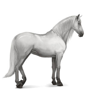 cheval de selle quarter horse gris clair