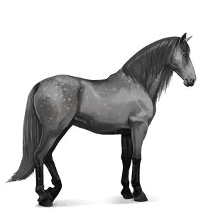 cheval de selle gris pommelé