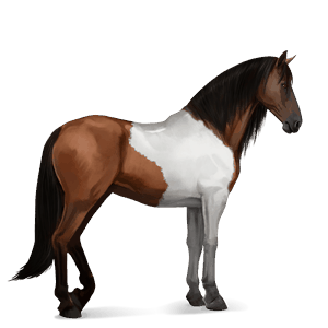 cheval de selle pure race espagnole alezan brûlé crins lavés
