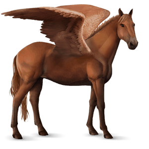pégase de selle quarter horse alezan