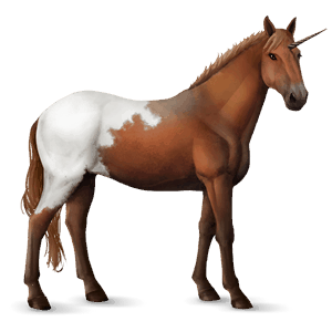 licorne de selle bai